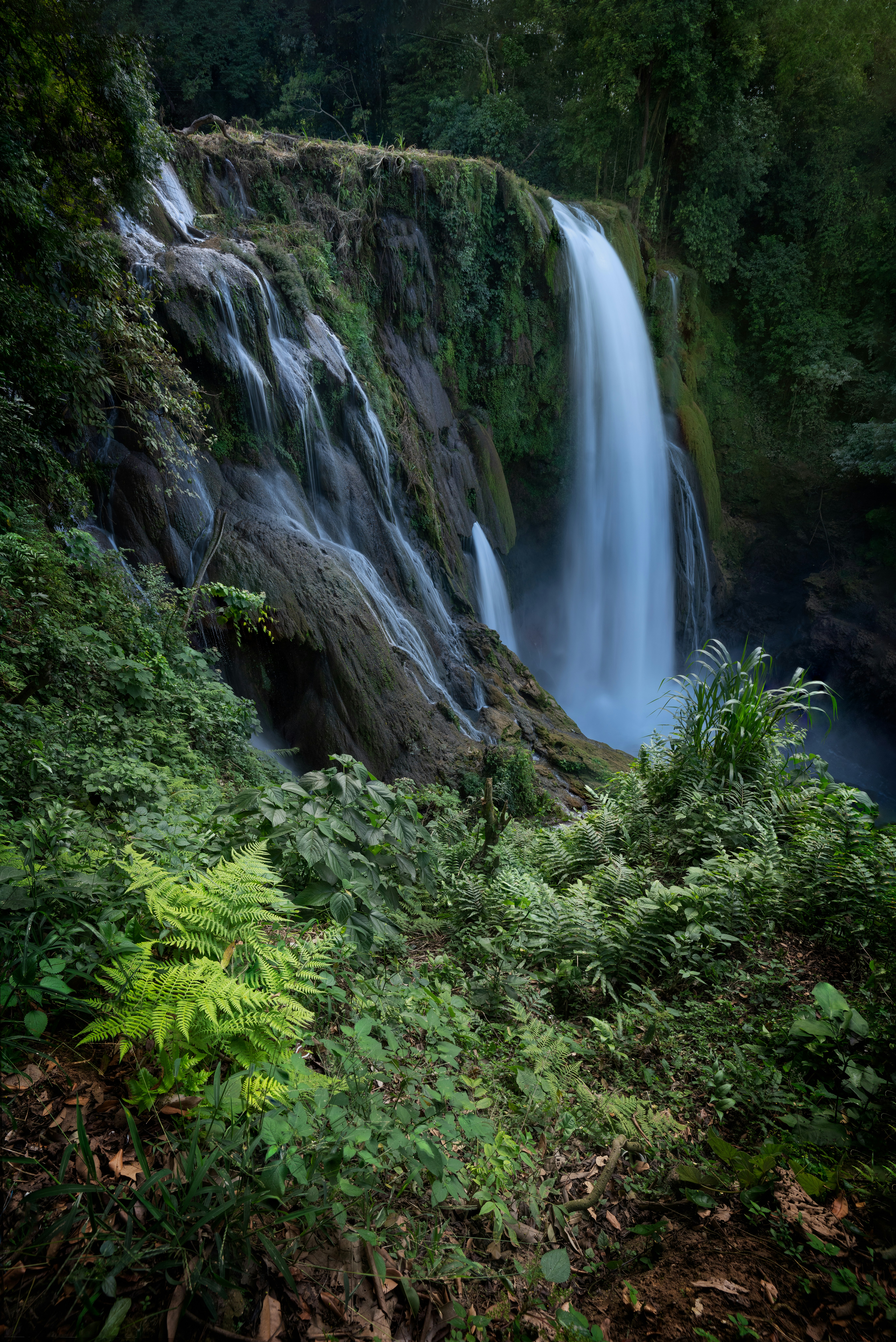 Waterfall surrounded by lush green foliage